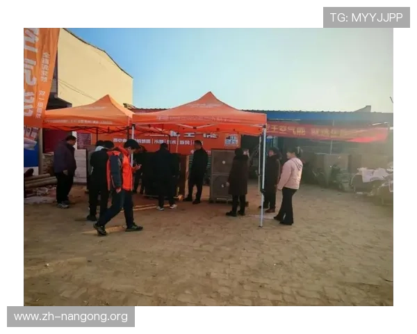 南宫备用网址维护与更新动态，确保平台持续稳定运行提供优质服务