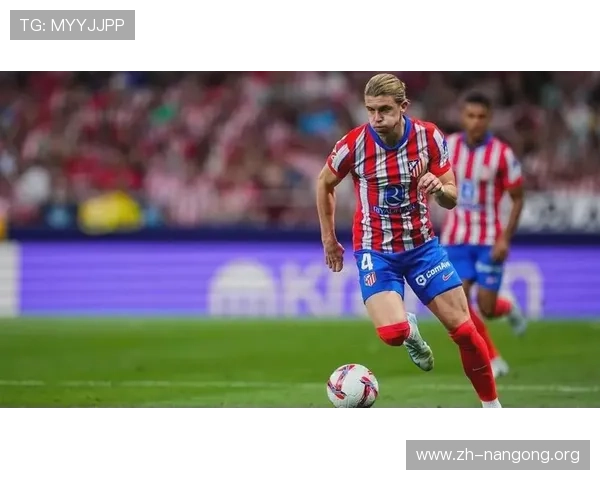 南宫NG官网地址全新更新，详细介绍官方入口及常见登录问题解决方案