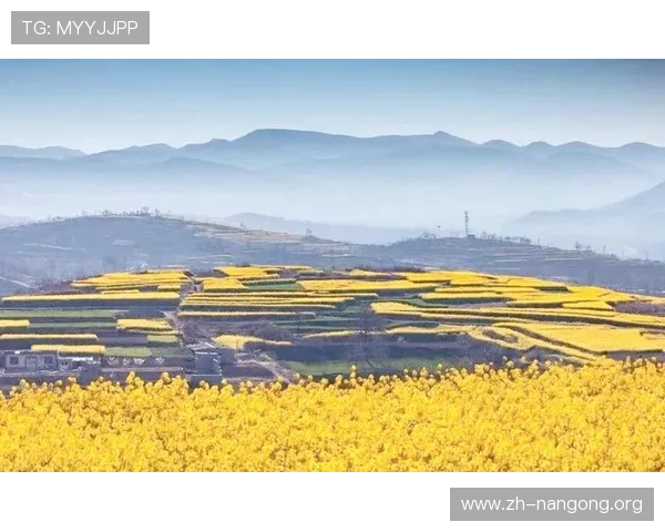 南宫中国：探索南宫文化的历史渊源与现代发展之路